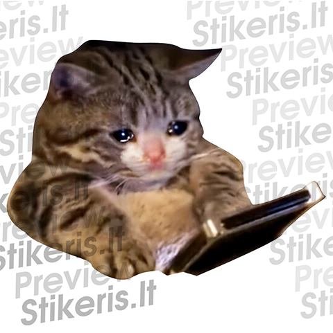 sad kitten meme sticker 